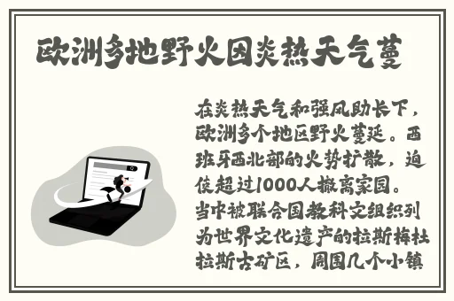 拔萝卜不盖子